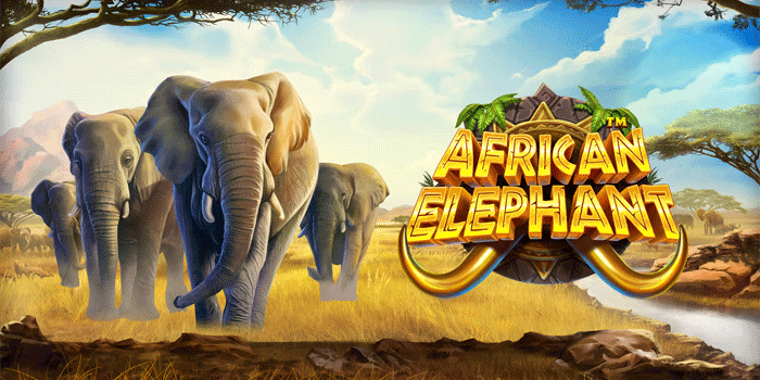 Secrets To Consistent Wins In African Elephant Slot